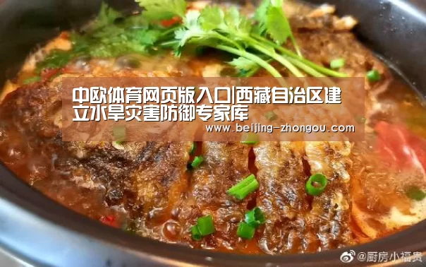 中欧体育网页版入口|西藏自治区建立水旱灾害防御专家库(图2) 中欧体育网页版入口