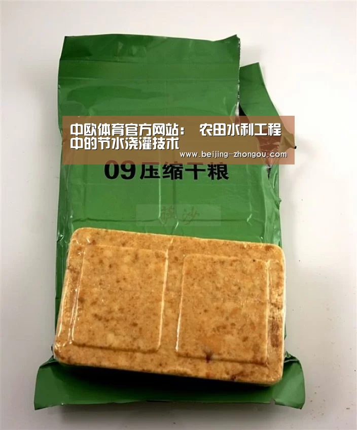 中欧体育网页版入口