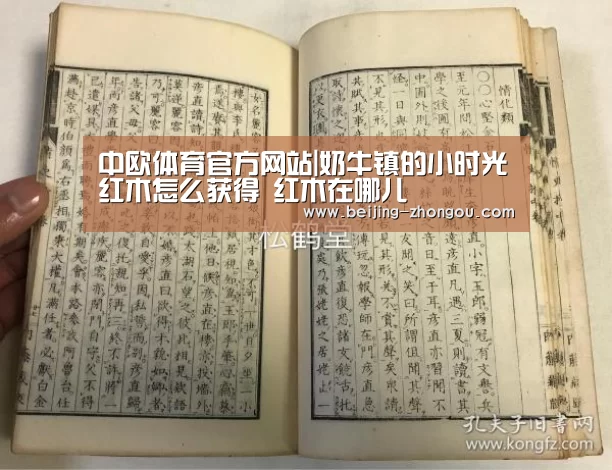 中欧体育官方网站|奶牛镇的小时光红木怎么获得 红木在哪儿(图1) 中欧体育app