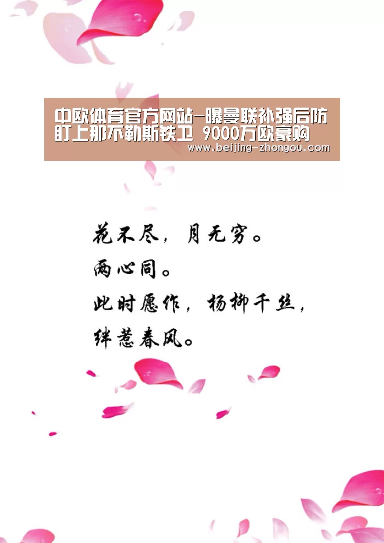 中欧体育网页版入口