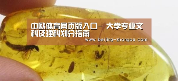 中欧体育官方网站