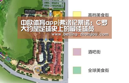 中欧体育网页版入口