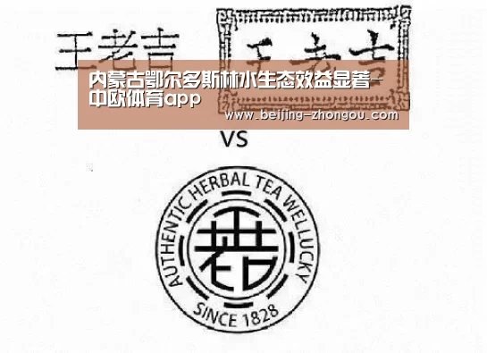 中欧体育网页版入口