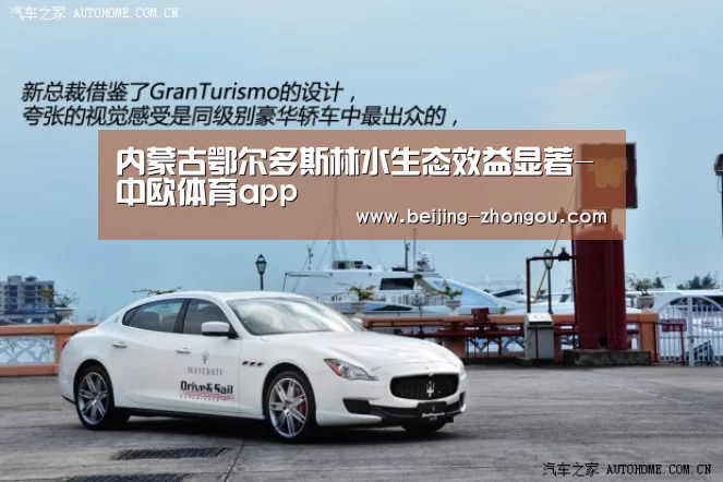 中欧体育网页版入口