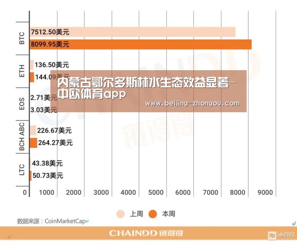 中欧体育网页版入口