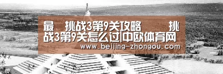 中欧体育网页版入口